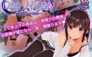 PC/3D/One Night～一夜情幼妻～/正式版