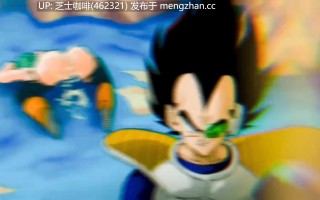 2D动画   龙珠 同人