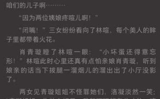 极品家丁之册母为妃