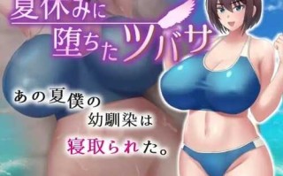 【爆款RPG/PC/安卓】夏休みに堕ちたツバサ 发 在暑假堕落的燕子【中文】