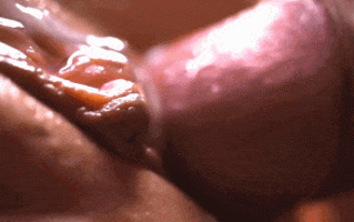 29-【高清近距离观赏肉棒与骚穴的摩擦】非常详细的摩擦微距视频。