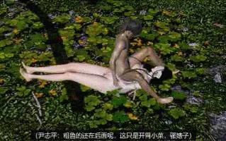 3D，NTR，国风，剧情，中毒的小龙女在野外被狠狠的肏干