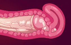 新作-[Hard-Degenerate]Completed Dragon Maid animation!