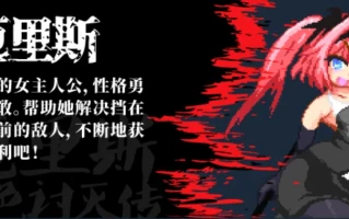 [像素ACT官中全动态] 厄里斯绝色讨灭传 精神错乱的艾莉丝 官方中文版【100M】