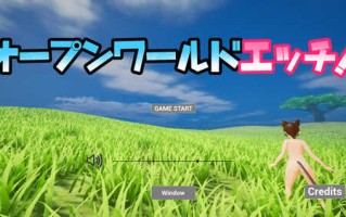 DL10月新作【动作ACT/3D作品/全动态】开放世界的诱惑（オープンワールドエッチ）V1.0 原版生肉【900MB】