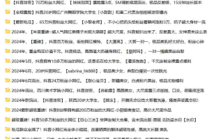 抖音网红泄密合集31套