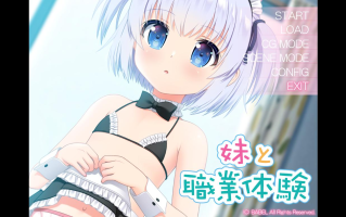 【ADV/AI汉化/PC】妹と職業体験