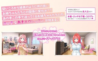 【PC/汉化/动态/全CG】姐姐的甜蜜H课程2～被隔壁巨乳姐姐无限宠爱的超色情生活～ お姉ちゃんのあまエロレッスン２ ～お隣の巨乳お姉ちゃんにイッパイ甘やかされるめちゃエロライフ～