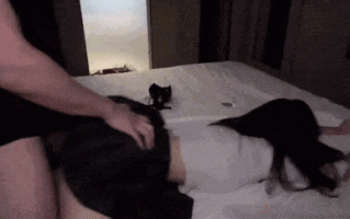 【我敢说这已经是易敏感体质的天花板了吧】我自己都记不住她一共高潮了多少次，太敏感了痛苦并享受着，给她操到哭喊着求求你了射给我吧要操死了！ #JK制服 #高潮少女 #白虎