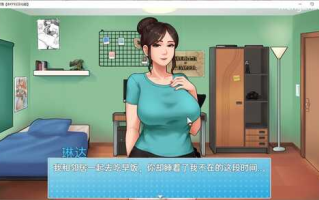家务(House Chores) v0.20.1 精翻汉化版 PC+安卓 动态RPG游戏 3.1G
