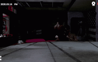 45【3D】【[依雯&妮妮]在非洲的妻子1-4【1.03G】