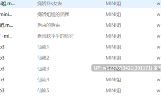 MINI姐中文音声合集【1.1G】