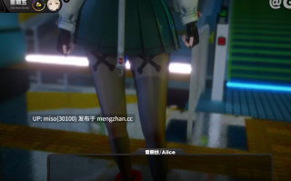20.- 【ZZZ】爱丽丝-Alice []