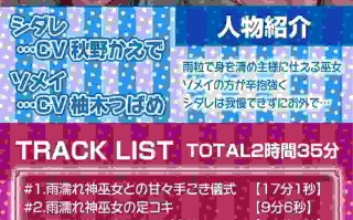 [RJ312207][テグラユウキ]雨濡れ神巫女二人と雨宿りセックス【フォーリーサウンド】