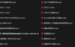 井上鸢御中文音声合集+更新【1.95G】