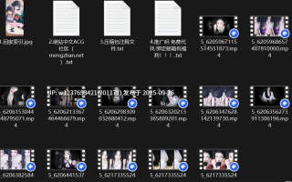 网易CC【星也】舞蹈，高颜值御姐黑丝红丝大尺度热舞【13V1.64G】
