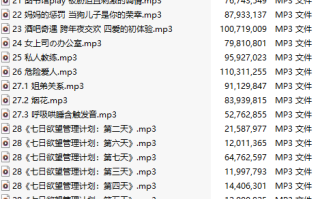 【中文音声/98集合集】#35夏天 全部付费音声&特典合集 【舔耳/哄睡/R18情景/插入】【60小时合集/7.6GB/MP3】【完结】