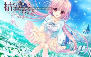 名称：#永不枯萎的世界与终焉之花 名称：#The Rainbow Appears After Flowering Rain 版本：v1.0a 官中版