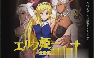 [ADV汉化] 精灵公主妮娜 エルフ姫ニィーナ ～受胎蹂 AI汉化版+全CG存档电脑500M