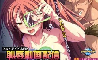 PC/ADV/网络偶像的耻辱视频直播/人工汉化