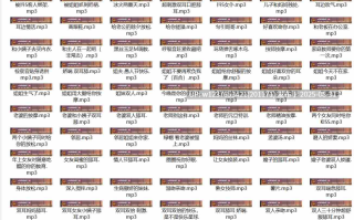 圈圈中文音声合集【2.24G】