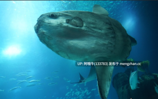【html浏览器机翻/文字视觉小说/互动/PC】太阳鱼城 Sunfish City [v0.0.17] 【140M】【序号6804】