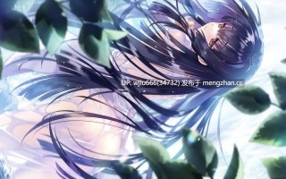 【ADV/中文/PC】无颜之月 - 待宵的双椿 顔のない月 -待宵の双椿- 全CG存档【度盘/2.16G】