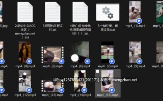 反差白袜母狗少女【小雨绵绵】露出，自慰高潮，花样白丝，腿型好看【15v5.3g】