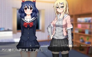 [2DADV汉化]义妹千惠与妹妹真夜義妹ホールと妹ホールド Ver1.02 AI汉化版电脑246M￼￼