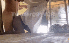 大屌怒操狗奴黑丝女友