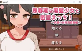 【像素SLG/动态】与青春期黑发少女的密室H！机翻汉化版【PC/汉化】