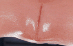 【4K/无修/无水印】新作-ToonE-Ayane x Momiji Safehouse Seduction HD绫音&红叶 性感女忍姐妹花激情双飞 英文版