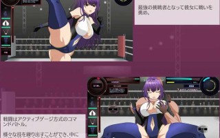 【PC端】斗技女王薇奥拉v1.2Ver【SLG/ACT/动态/擂台格斗】【共3.2GB】【简体中文】