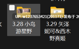 极品画师【NFFA】2025年3月图集整合包【1.7G】