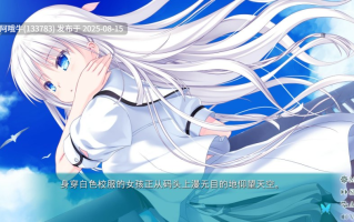 【ADV/中文】 夏日口袋：流光蓝Summer Pockets REFLECTION BLUE Build.19014514 官方中文版 [9.7G全CV]【序号3120