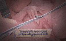 [动画和配音 HJOI]八重的轮奸 - 第 27 天（软调教多日系列）