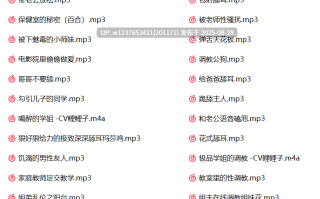 虎牙鲤鲤子中文音声合集【1.05G】