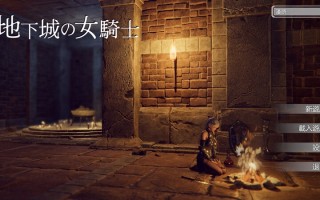 【爆款ACT/3D作品/全动态/官中】地下城的女骑士（地下城の女騎士）STEAM官中步兵