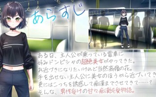 与冷酷外表但内心温柔的姐姐在纯爱列车上的甜蜜故事