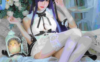 Tomoyo酱-碧蓝-奥古斯特女仆 27P 素 白丝