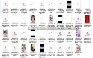 个人向合集：安安老师 糖心合集 51P+52V（11G）