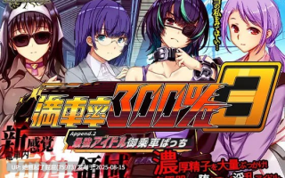 更新DLC[互动大作/官中/动态/新DLC+整合] 满车率300% 3 満車率300% 3≒ V20250802+Append.2 最強アイドル御乗車ぱっち+Append.1 鉄板ギャル御乗車ぱっちVer0430 官方中文版 DLC1+2 [9.80G]