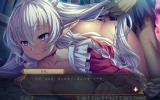 【PC/今日发售+存档/ADV/卖春/群交】精灵公主回忆录—娼妓公主与亡国之梦【共1.7GB】【AI内嵌汉化】【原名：エルフ姫回顧録～娼婦姫と亡国の夢～】【2025年07月25日 发售】