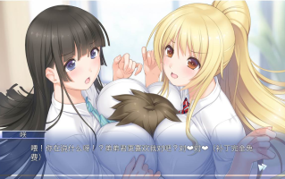 【拔作/ADV/汉化/骨科】姐姐我～什么都可以为你做哦~ お姉ちゃんが「なんでもして」あげちゃう AI汉化内嵌版+存档【1.69G】【序号1517】