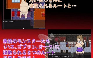 【日系RPG/AI汉化】NTR 堕落之塔与跨种族淫乱 NTRRPG～堕落の塔と異種たちの狂宴～ v1.0【PC/881M】