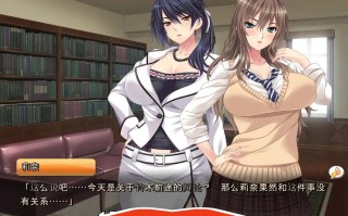  [ADV拔作/汉化/CV] 以结婚为契机，向3个傲娇的姐姐复仇！汉化版+CG包 电脑 2G￼￼