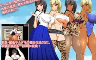 PC/RPG/大小姐琉璃子的H暑假狂欢  #nymphomania paradox  精翻汉化版