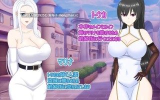 #被他人夺取的娼妓街 ~强势的青梅竹马堕落为娼妓~ #寝取られ娼婦街 ～強気幼馴染が娼婦に堕ちる～ v1.1 AI汉化版萌站植入