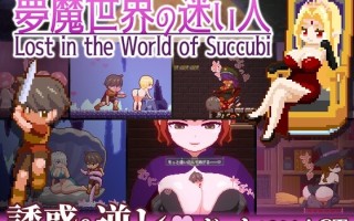 新作[动作ACT/像素/动态] 梦魔世界的迷惑人 夢魔世界の迷い人 – Lost in the World of Succubi 官中版 [PC+安卓-1.30G]