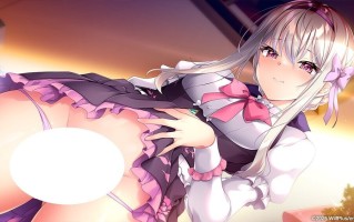 寄宿少女的誓约与魔法  宿りし乙女の誓いと魔法. AI汉化版